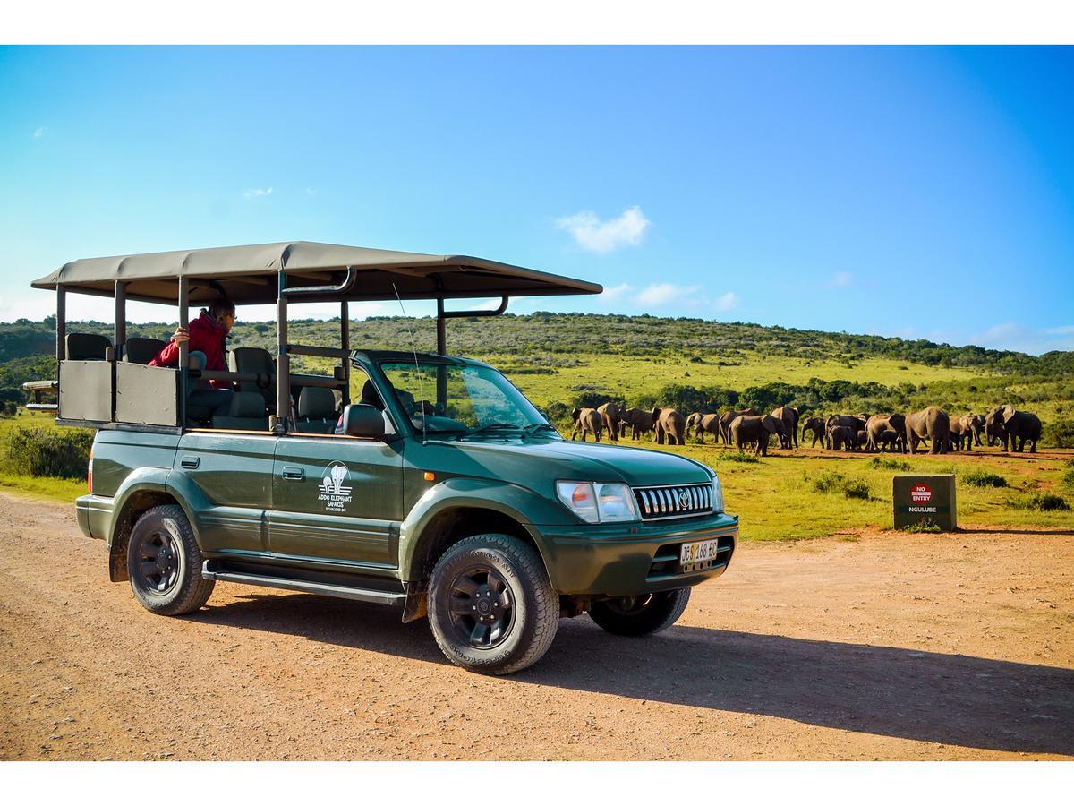 River Rooms - Chilled And Relaxed - Colchester - 5Km From Elephant Park Exterior photo